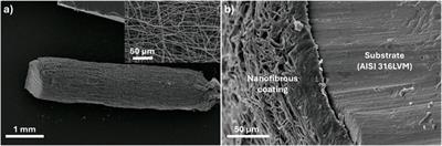 Innovative pH-triggered antibacterial nanofibrous coatings for enhanced metallic implant properties